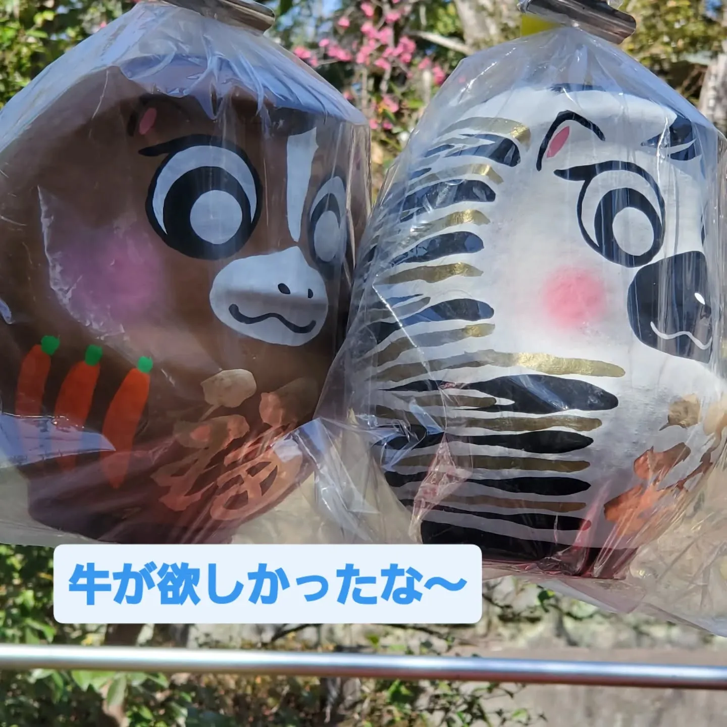 3月4日の定休日は深大寺のだるま市に行ってきまし。