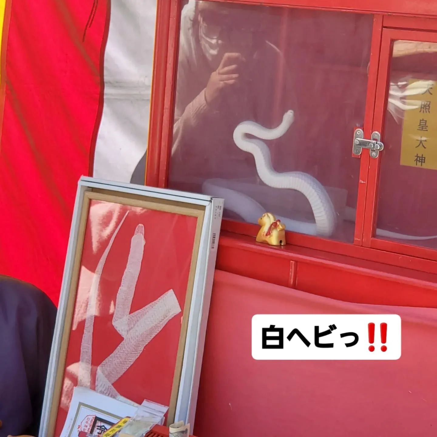 3月4日の定休日は深大寺のだるま市に行ってきまし。