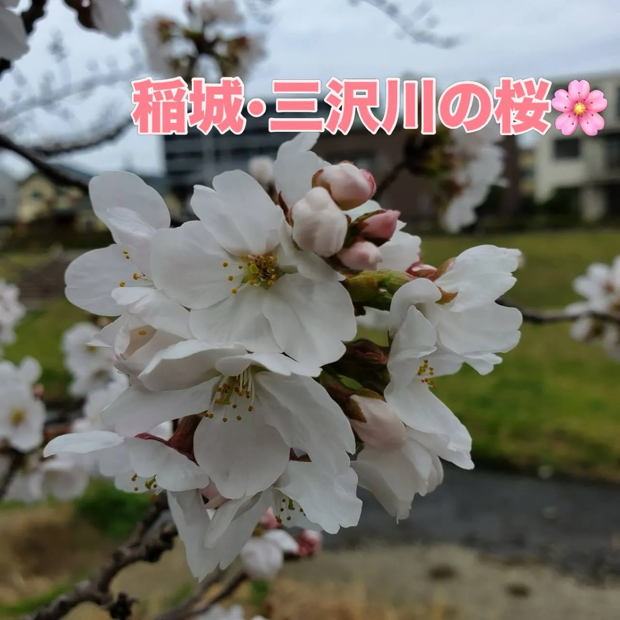 こんばんは🌙牛誠です。