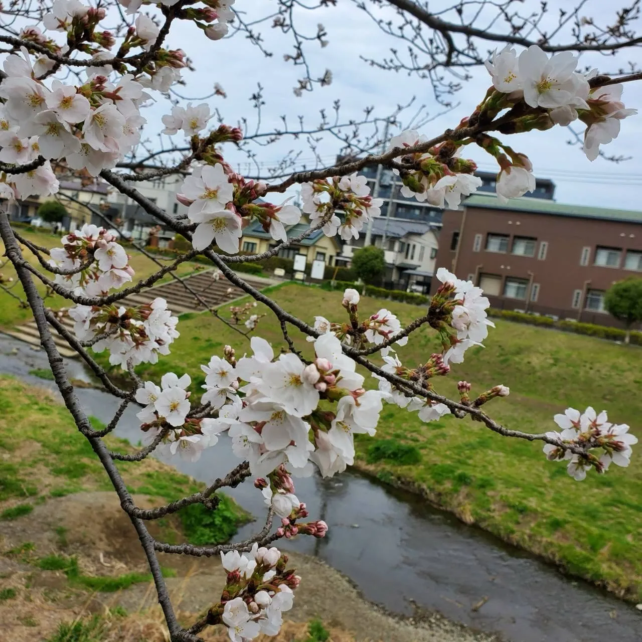 こんばんは🌙牛誠です。