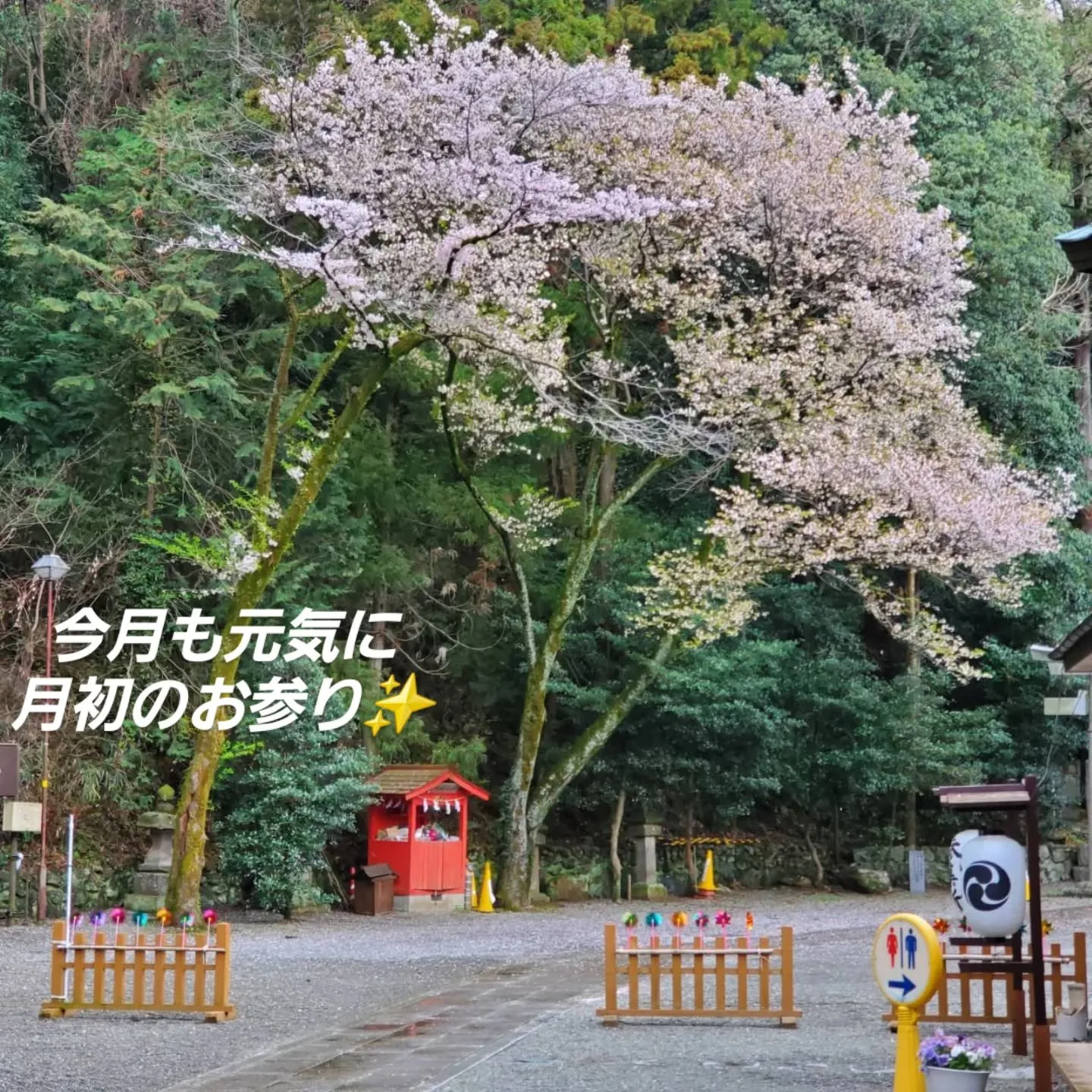 今月も月初にお参り出来ました🎵