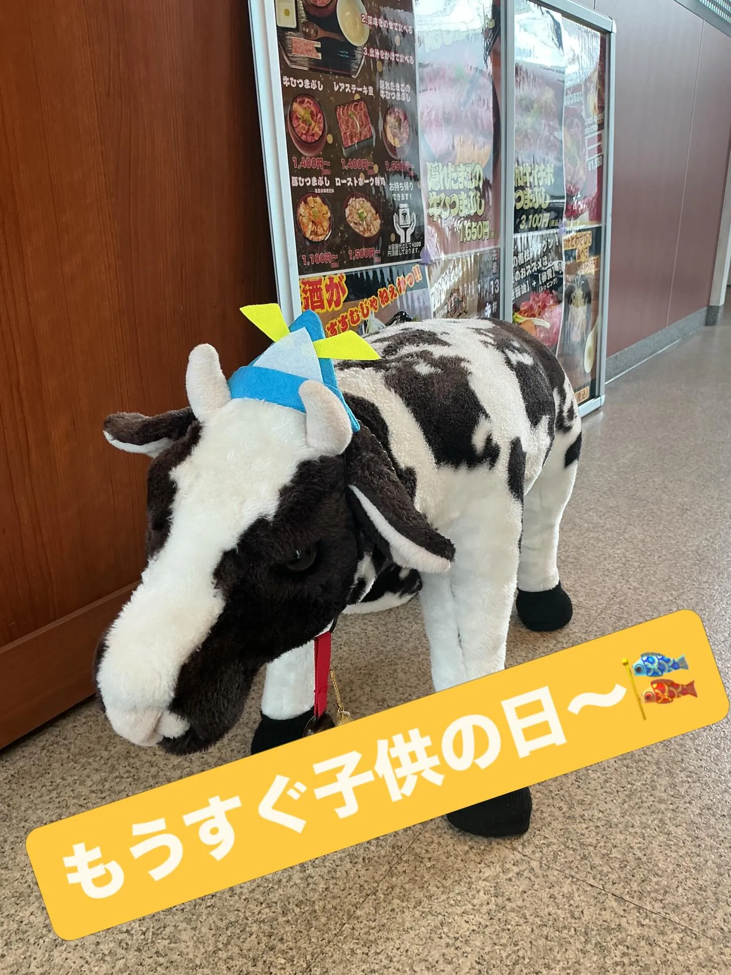 明日から５月です‼️