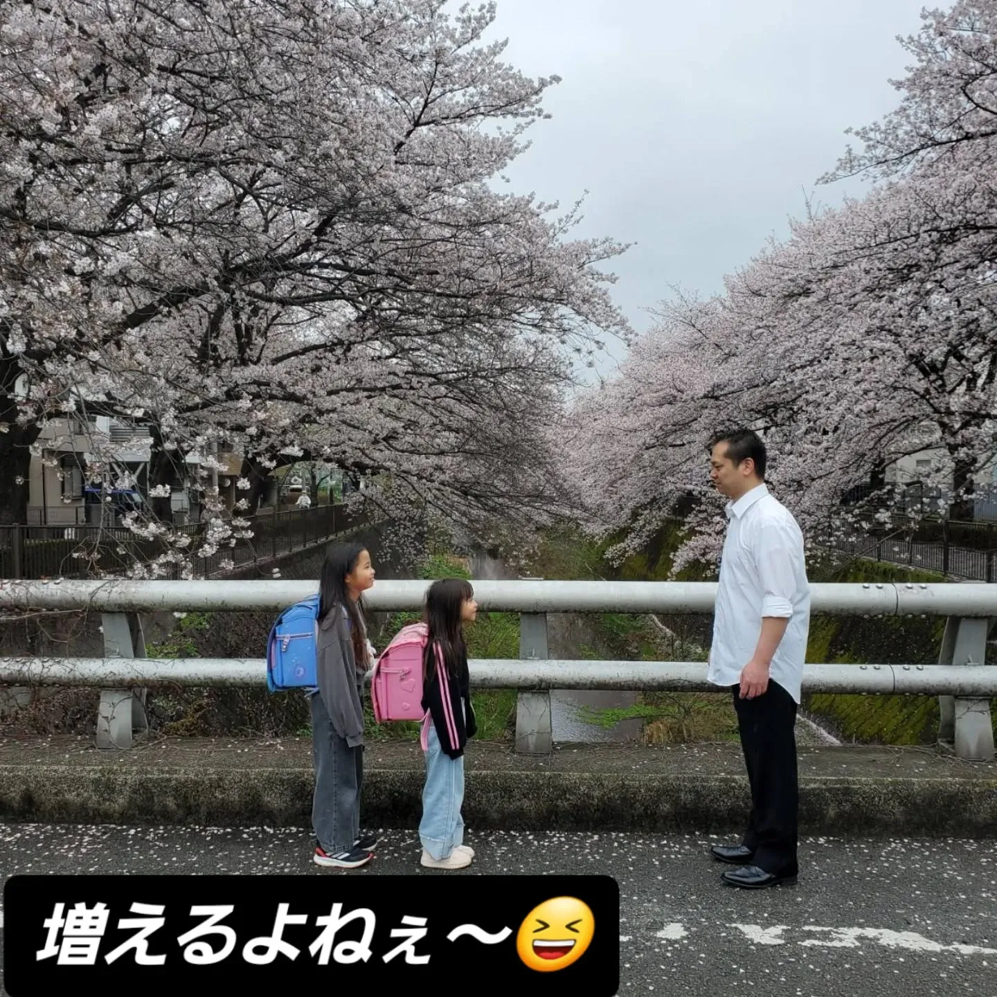 『レンタル・ファミリー』の撮影場所を見つけに稲城市 三沢川に...