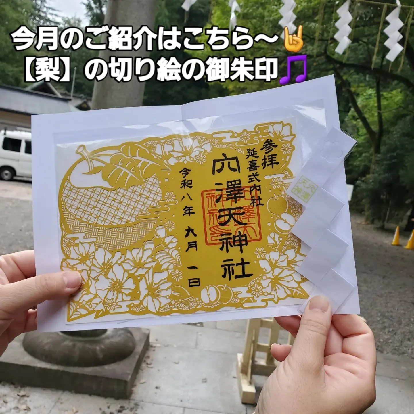 20260901121812_0_1.jpg