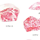 プライバシーポリシー